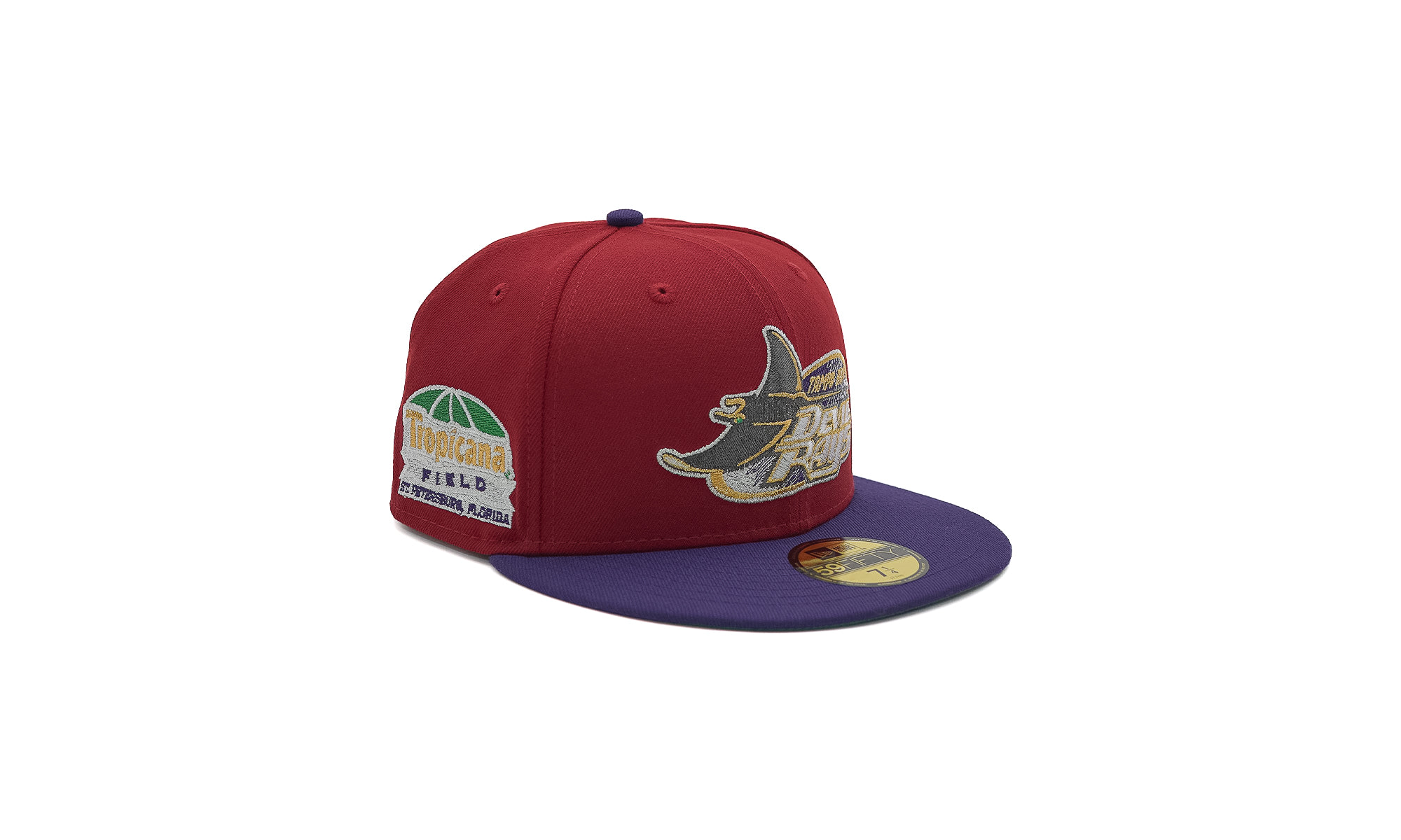 5950 Tampa Bay Devil Rays Tropicana Field "FR Exclusive" 70859443